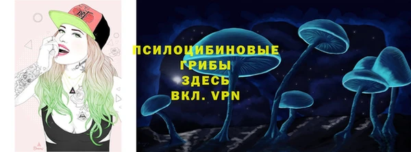прущий лед Верея